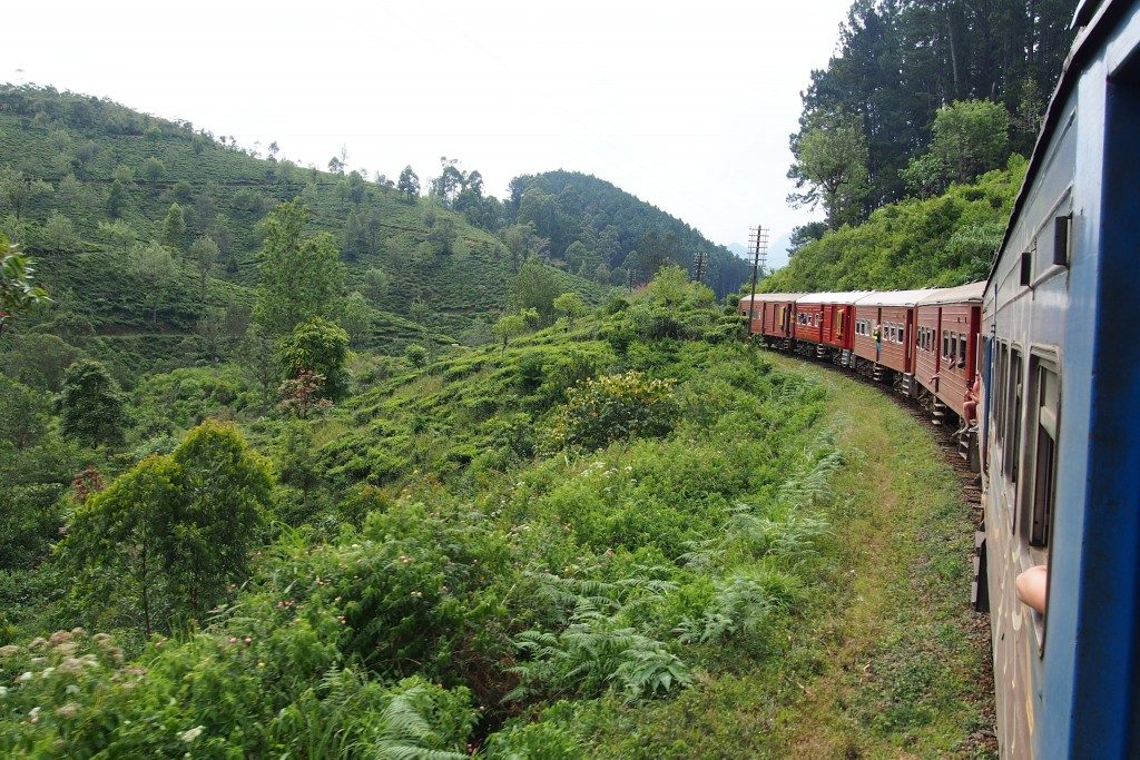 Prendre le train au Sri Lanka : champs de thé