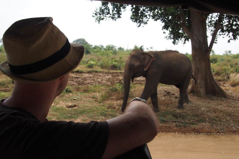 William observe un éléphant
