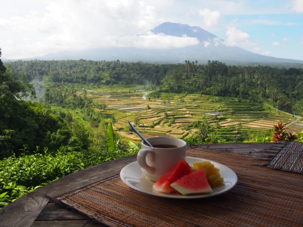 Top 10 des choses à faire à Bali : contempler la vue