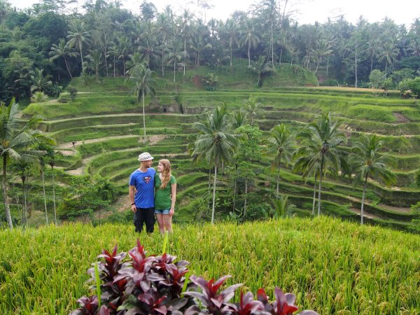 Top 10 des choses à faire à Bali : découvrir les rizières