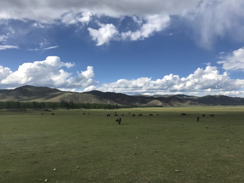 Carnet de voyage en Mongolie : paysage de la Vallée de l'Orkhon