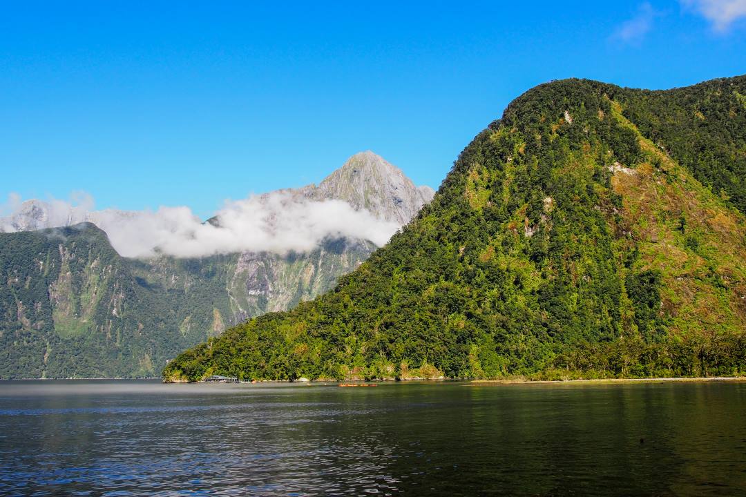 2 semaines en Nouvelle-Zélande : croisière sur le Milford Sound