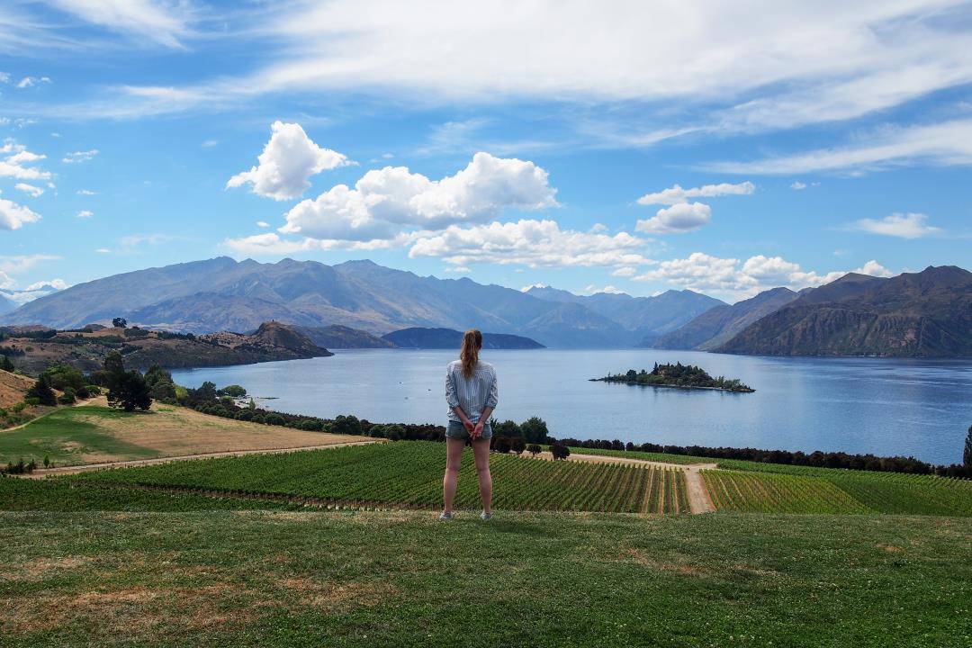 2 semaines en Nouvelle-Zélande : vignobles de Wanaka
