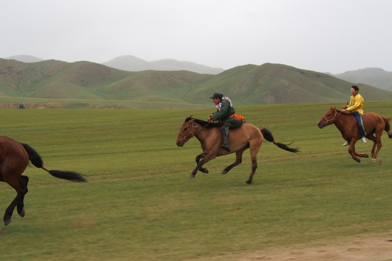 Carnet de voyage en Mongolie : course de chevaux