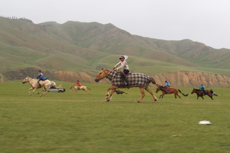 Carnet de voyage en Mongolie : course de chevaux