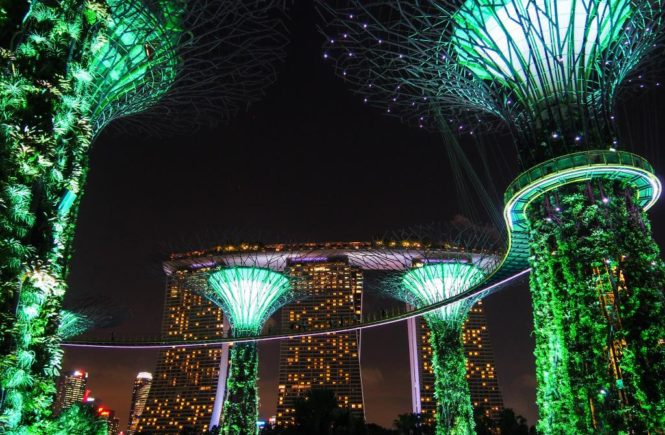 Vivre à Singapour, 10 choses que j'aime à Singapour : les lumières de Garden by the Bay